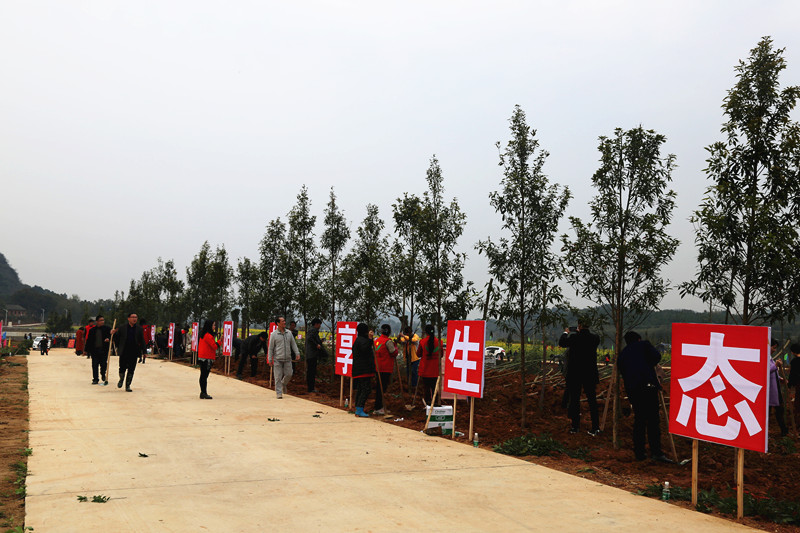 ����ֲ��